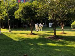 -茉沏(光启城店)