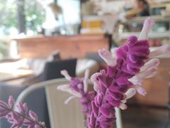 -日出青木·杭帮菜名店