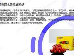 -王红军龙虾(新民路店)