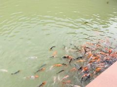 -桑干河大峡谷旅游区