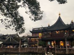 -沈大成(城隍庙店)