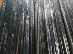 -山王坪喀斯特国家生态公园