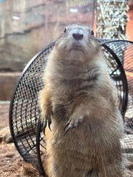 -Zoolung Zoolung动物主题公园(海信广场店)