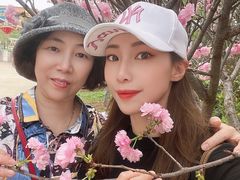 -天适樱花悠乐园