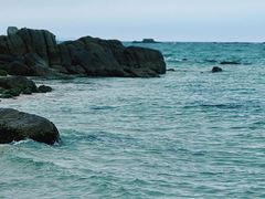 -花海间·即刻露营