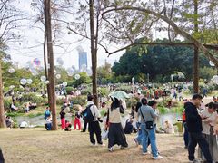 -人民公园(罗湖区)