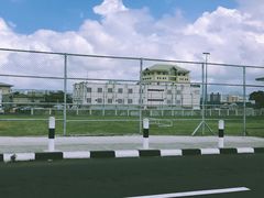 -西沃古尔·拉姆古兰爵士国际机场