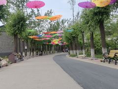 -杨柳青庄园