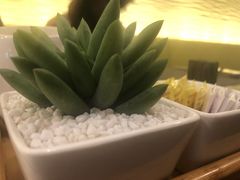 -海航大厦万豪酒店彩海轩中餐厅(霄云路店)