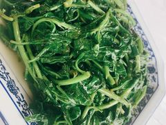 枸杞藤-洞天食府(北大街店)