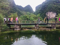 -靖西鹅泉风景区