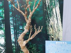 -延庆地质公园博物馆