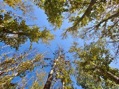 -野鸭湖国家湿地公园