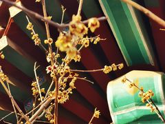 -丰台花园