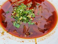 -南街杨记·麻辣烫