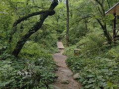 -青峰峡国家森林公园