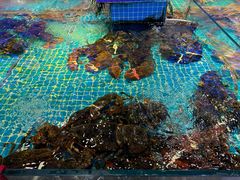 -驻海渔市(置信店)