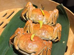 -成隆行·蟹王府(九江路店)