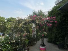 -龙猫意杯花园餐厅(芙蓉湖店)
