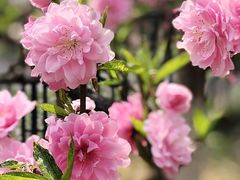 -玉泉公园