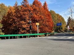 -南京市无想山景区