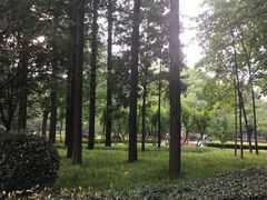 -徐家汇源景区-衡山公园