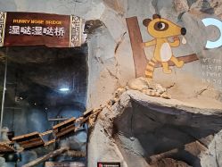 -Zoolung Zoolung动物主题公园(海信广场店)