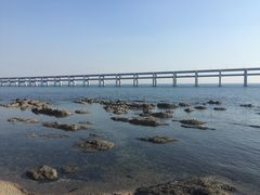 景点-黑石礁公园