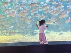 -烟台海昌鲸鲨海洋公园