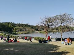 -东莞植物园