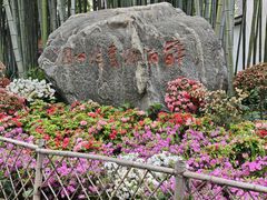 -上海醉白池公园