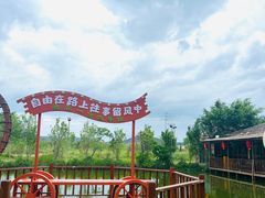 -一煲鸽