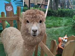 -西安秦岭野生动物园