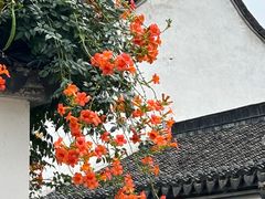 -青果巷历史文化街区