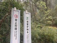 -广州市石门国家森林公园
