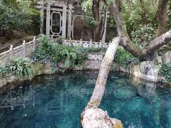 -蝴蝶泉公园
