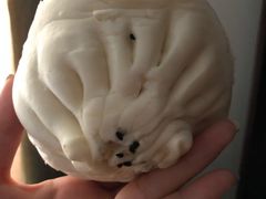 -白玉兰食品(甜云店)
