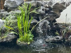 -道南書院·私房菜·早午茶·茶馆