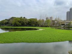 -月湖风景区