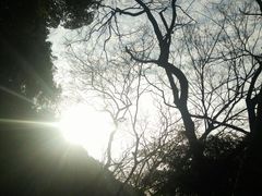 -赭山公园