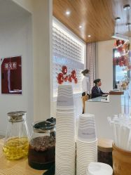 -SILKTONE诗丽堂美容