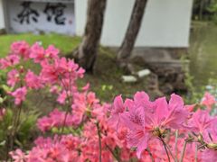 -无锡梅园公园