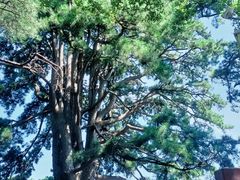 -终南山南五台景区