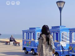 -日照世帆赛基地