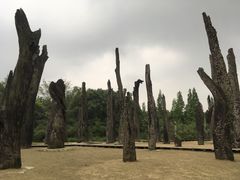 景点-金沙遗址博物馆