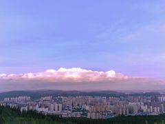 -长虫山生态公园风景林