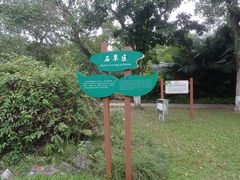 -广西壮族自治区药用植物园