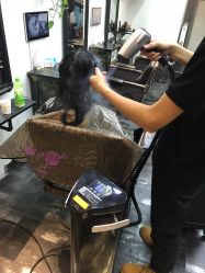 -AFA Hair studio·女士发型设计