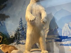 -陕西自然博物馆