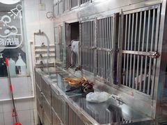 -瑞派旺宝宠物医院·犬猫全科综合·尿道专科(莲兴院)